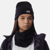 Northface Norm Beanie