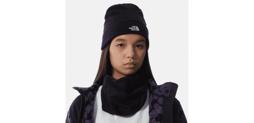 Northface Norm Beanie